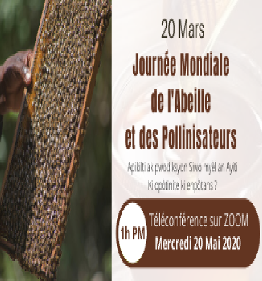 Journée mondiale des abeilles et des pollinisateurs